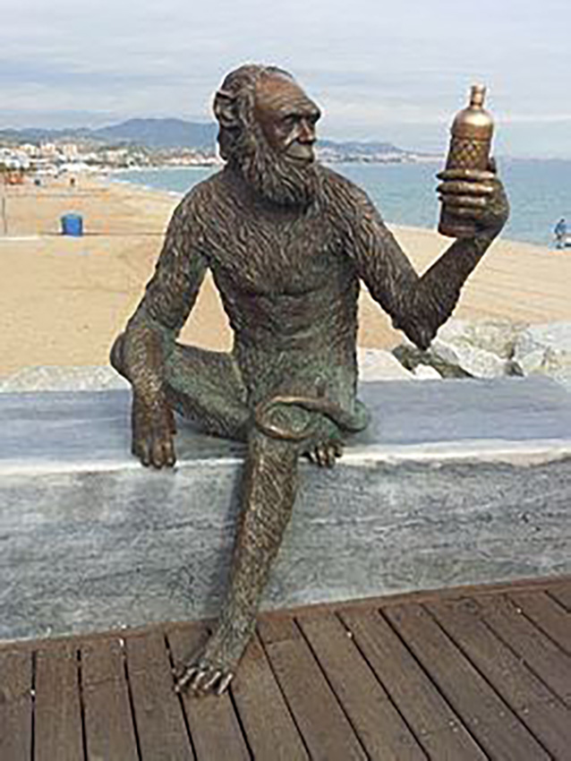01 Paella Badalona